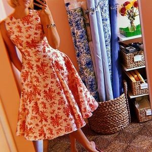 Molly Moorkamp Charlotte Dress 4 worn once